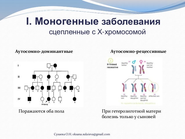 Хромосомные заболевания человека связанные с аутосомами Хромосомные заболевания человека связанные с аутосомами